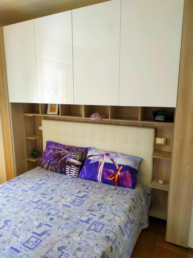Mini Suite 比萨 外观 照片